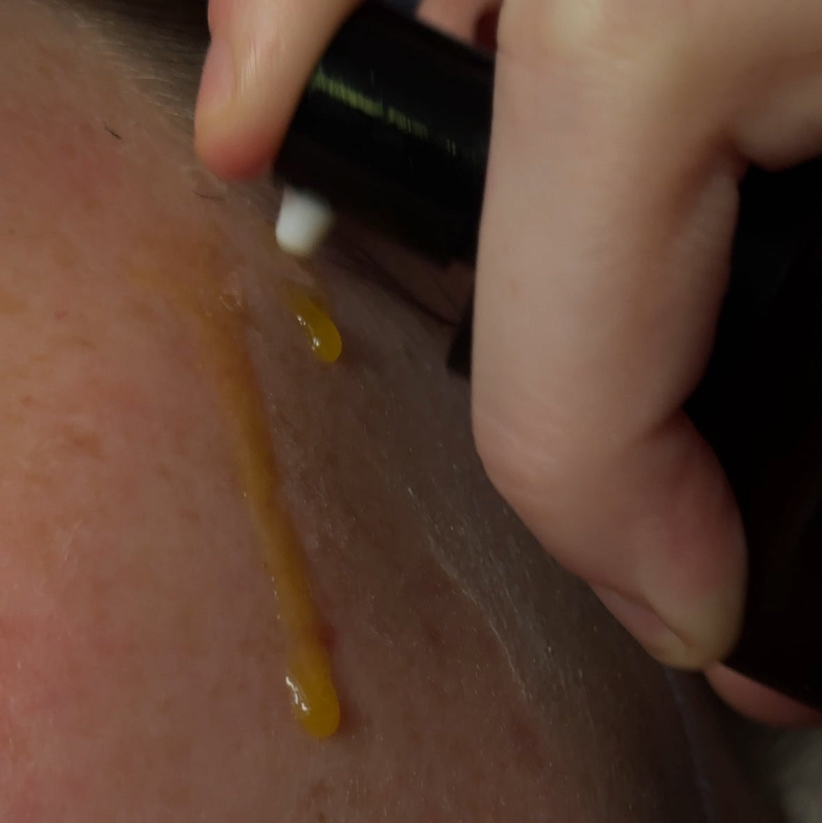 ghee cleansing oil gaia uncovered