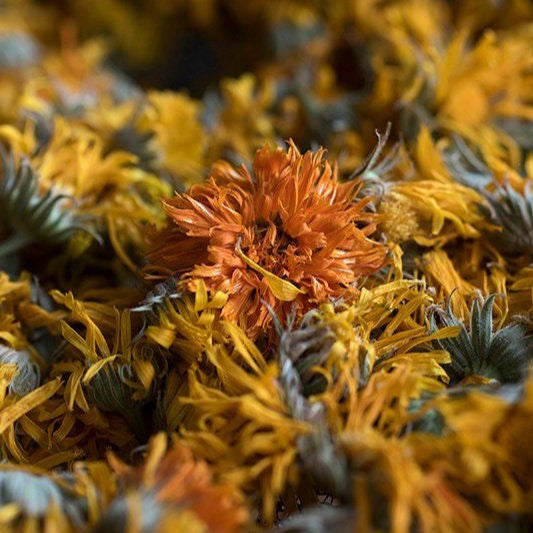 calendula tallow balm