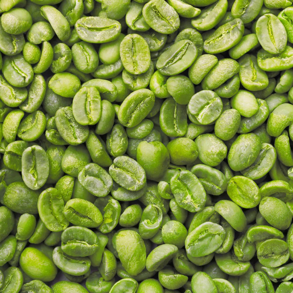 green coffee bean